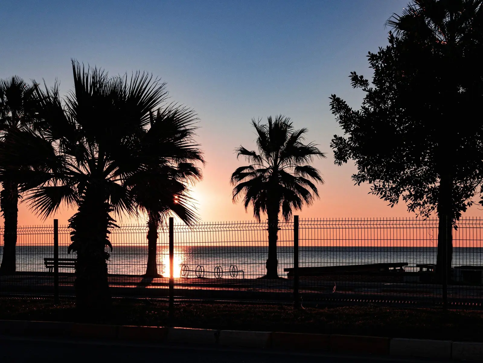 Coastal Park — project photograph